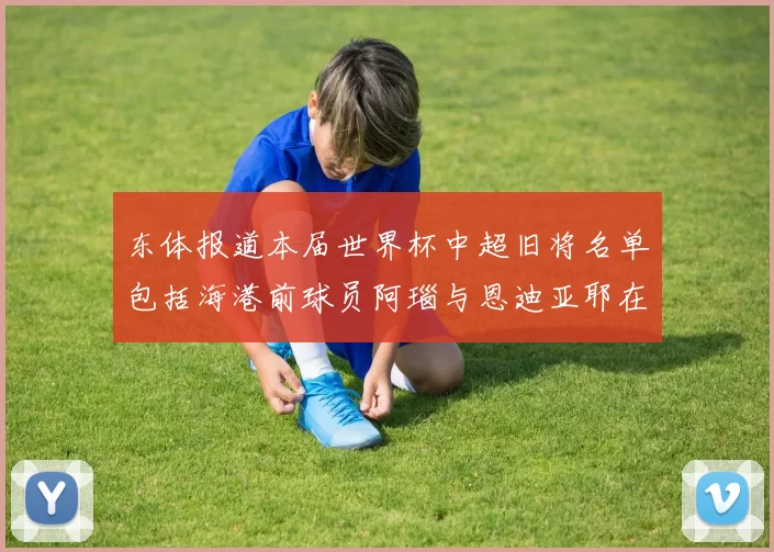 东体报道本届世界杯中超旧将名单包括海港前球员阿瑙与恩迪亚耶在内的10位球员